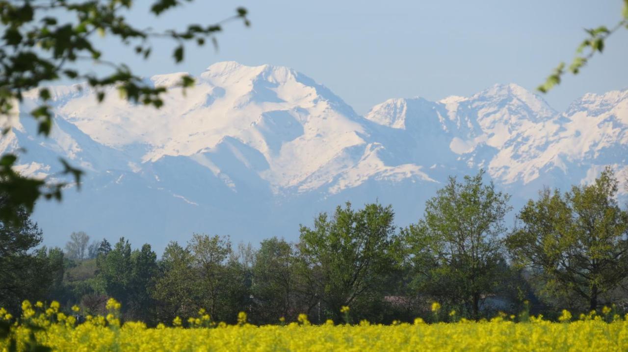Gite La Tourasse Les Tournesols Lamasquere 外观 照片